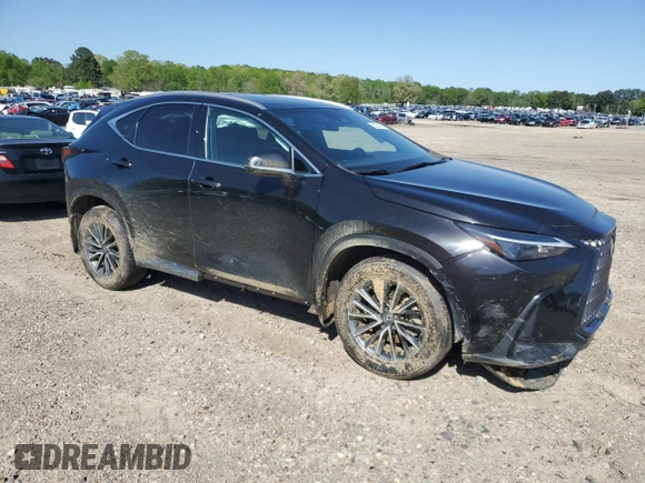 2024 Lexus NX 250 с VIN 2T2ADCAZ4RC009662, выставлен на аукционе Copart как лот 52331615 с пробегом 40 496 миль миль и Списание • Salvage title. История ставок и продаж доступна на DreamBid. Изображение 4.