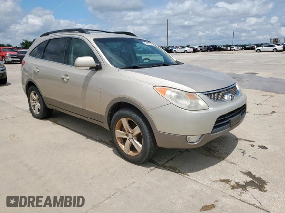 2009 Hyundai Veracruz GLS with VIN KM8NU13C39U079932, listed as a Copart auction lot 64677215 with 246,722 mi miles and Clean title. Bid and sale history available at DreamBid. Image 4.
