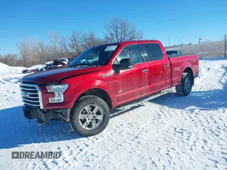 2016 Ford F-150 XLT with VIN 1FTFW1EG1GKD16719, listed as a IAAI auction lot 41494417 with 124,063 mi miles. Bid and sale history available at carsss.com. Image 18.