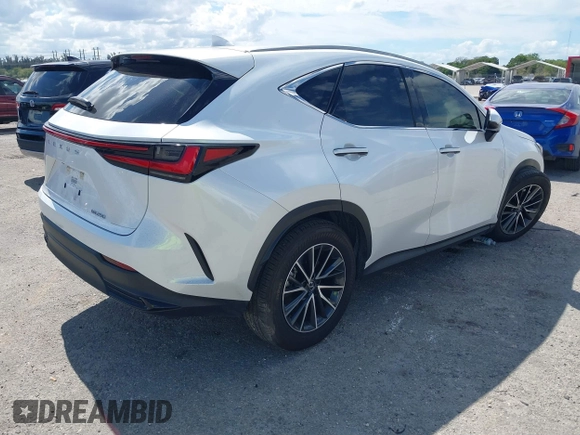 2024 Lexus NX 250 with VIN JTJADCAZ7R5022145, listed as a IAAI auction lot 41688698 with 5,699 mi miles and . Bid and sale history available at DreamBid. Image 4.