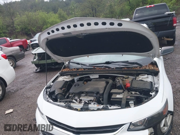 2017 Chevrolet Malibu LS with VIN 1G1ZB5ST2HF135830, listed as a IAAI auction lot 41891267 with 116,097 mi miles and . Bid and sale history available at DreamBid. Image 10.