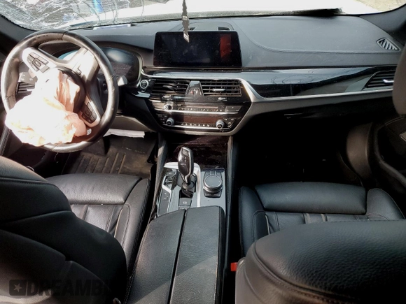 2019 BMW 5 Series M550i xDrive with VIN WBAJB9C58KB287991, listed as a Copart auction lot 53206135 with Not provided miles and Salvage title. Bid and sale history available at DreamBid. Image 8.
