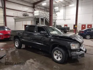 2009 Dodge Dakota with VIN 1D3HW38P49S789556, listed as a IAAI auction lot 42475126 with Not provided miles and . Bid and sale history available at DreamBid. Image 1.