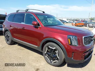 2024 Kia Telluride EX with VIN 5XYP34GC4RG519105, listed as a IAAI auction lot 42213737 with Not provided miles and . Bid and sale history available at DreamBid. Image 1.