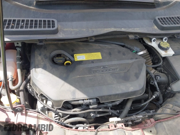 2014 Ford Escape SE with VIN 1FMCU0GX4EUD02407, listed as a IAAI auction lot 42156731 with 114,117 mi miles. Bid and sale history available at carsss.com. Image 10.