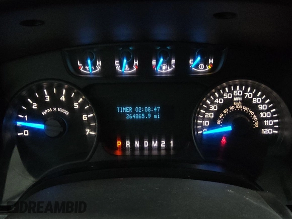 2014 Ford F-150 XL with VIN 1FTEX1EM5EFB02885, listed as a Copart auction lot 53800335 with 264,865 mi miles and Clean Title. Bid and sale history available at carsss.com. Image 9.