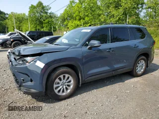 2024 Toyota Highlander XLE with VIN 5TDAAAB59RS004803, listed as a Copart auction lot 59741465 with 31,728 mi miles and Salvage title. Bid and sale history available at DreamBid. Image 1.