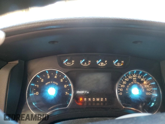 2011 Ford F-150 XLT with VIN 1FTFW1ET2BFB81443, listed as a Copart auction lot 46299165 with 250,287 mi miles and Salvage Title. Bid and sale history available at carsss.com. Image 9.