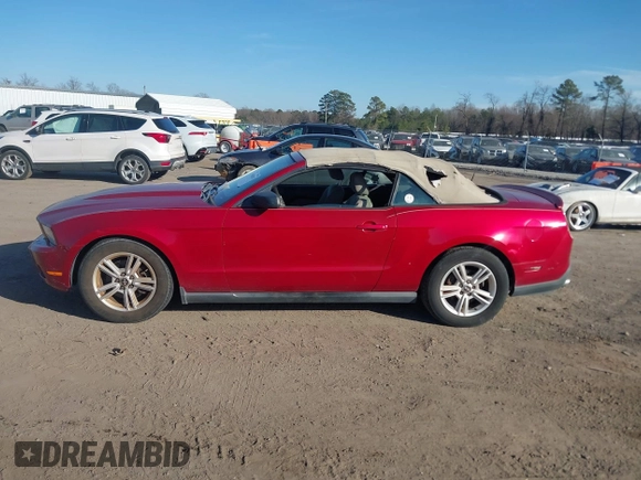 2012 Ford Mustang V6 with VIN 1ZVBP8EM4C5203508, listed as a IAAI auction lot 41688187 with 226,571 mi miles and . Bid and sale history available at DreamBid. Image 14.