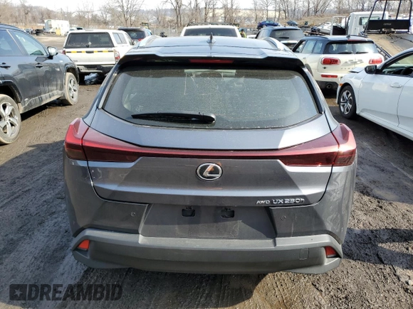 2024 Lexus UX 250h Premium with VIN JTHP9JBH1R2075173, listed as a Copart auction lot 46299615 with 1,738 mi miles and Salvage Title. Bid and sale history available at DreamBid. Image 6.