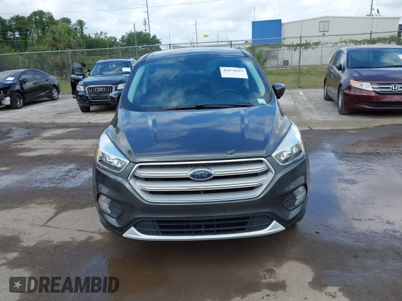 2019 Ford Escape SE with VIN 1FMCU0GDXKUB95350, listed as a IAAI auction lot 42154622 with 109,309 mi miles. Bid and sale history available at carsss.com. Image 6.