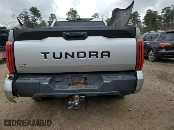 2022 Toyota Tundra 2WD SR5 with VIN 5TFLA5AB7NX005251, listed as a Copart auction lot 45131335 with 48,470 mi miles and Salvage Title. Bid and sale history available at carsss.com. Image 6.