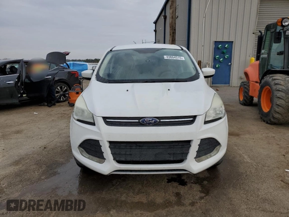 2013 Ford Escape SE with VIN 1FMCU0GX8DUA80369, listed as a Copart auction lot 43804515 with 125,264 mi miles and Salvage Title. Bid and sale history available at DreamBid. Image 5.