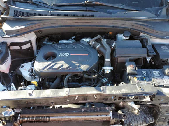 2020 Hyundai Santa Fe Limited with VIN 5NMS5CAA6LH297900, listed as a Copart auction lot 87266654 with 74,116 mi miles and Salvage Title. Bid and sale history available at carsss.com. Image 11.
