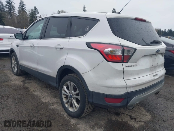 2017 Ford Escape SE z VIN 1FMCU9G95HUA24739, wystawiony jako IAAI lot #41880800 z przebiegiem 164 285 mil mil oraz . Historia ofert i sprzedaży dostępna na DreamBid. Obrazek 3.