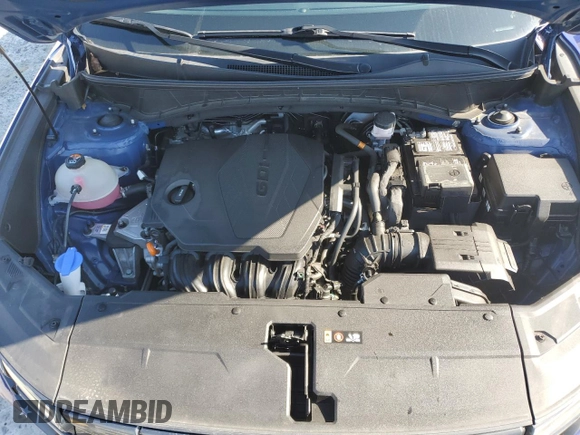 2022 Hyundai Tucson SEL with VIN 5NMJF3AE7NH078135, listed as a Copart auction lot 48978165 with 66,591 mi miles and Salvage Title. Bid and sale history available at carsss.com. Image 12.