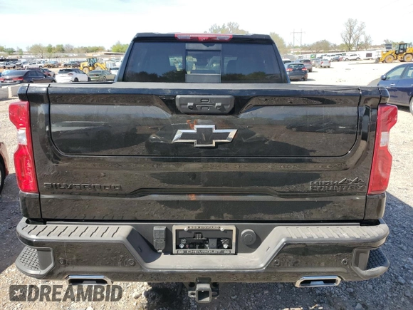 2025 Chevrolet Silverado 1500 with VIN 2GCPAFED6S1116613, listed as a Copart auction lot 48756285 with 1,136 mi miles and Salvage Title. Bid and sale history available at DreamBid. Image 6.