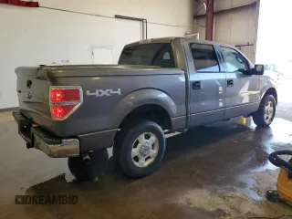 2009 Ford F-150 XL with VIN 1FTRW14879FB39001, listed as a Copart auction lot 53269955 with 123,871 mi miles and Clean Title. Bid and sale history available at carsss.com. Image 3.