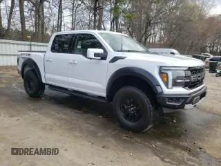 2024 Ford F-150 Raptor with VIN 1FTFW1RG5RFA24884, listed as a Copart auction lot 48981025 with 116 mi miles and Salvage Title. Bid and sale history available at DreamBid. Image 4.