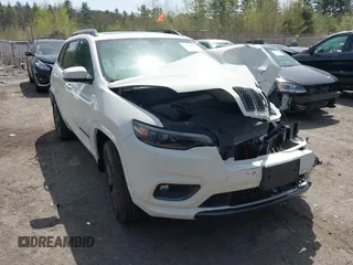 2019 Jeep Cherokee Limited with VIN 1C4PJMDX5KD451379, listed as a IAAI auction lot 42073009 with Not provided miles and . Bid and sale history available at DreamBid. Image 1.
