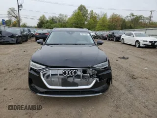 2019 Audi e-tron Premium Plus with VIN WA1LAAGE5KB009439, listed as a Copart auction lot 50514093 with 32,382 mi miles. Bid and sale history available at carsss.com. Image 5.