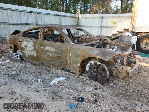 2019 Dodge Charger SXT with VIN 2C3CDXBG9KH745286, listed as a Copart auction lot 48289265 with Not Provided miles and Non Repairable. Bid and sale history available at carsss.com. Image 4.
