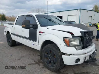 2013 Ford F-150 XL with VIN 1FTFW1EF1DFA25438, listed as a IAAI auction lot 40730412 with 174,013 mi miles. Bid and sale history available at carsss.com. Image 1.