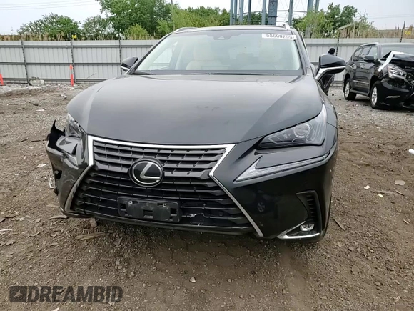2019 Lexus NX 300 with VIN JTJBARBZ1K2210620, listed as a Copart auction lot 58600295 with 48,730 mi miles and Salvage title. Bid and sale history available at DreamBid. Image 14.