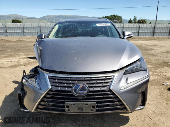 2019 Lexus NX 300h with VIN JTJBJRBZ1K2106287, listed as a Copart auction lot 50622065 with 56,259 mi miles and Salvage title. Bid and sale history available at DreamBid. Image 5.