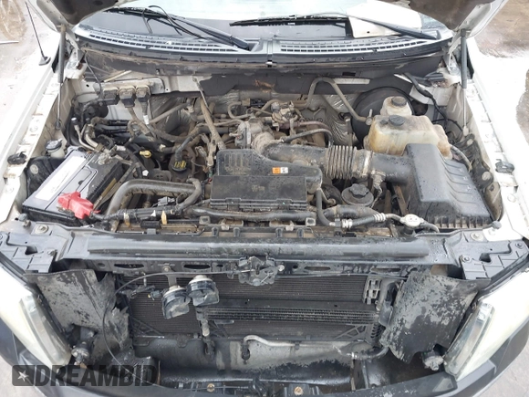 2009 Ford F-150 XL with VIN 1FTRF12W49KB49249, listed as a IAAI auction lot 41113915 with 193,285 mi miles and . Bid and sale history available at DreamBid. Image 10.