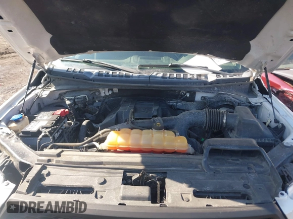 2016 Ford F-150 XLT with VIN 1FTEX1EP7GFC03925, listed as a IAAI auction lot 41595295 with 188,717 mi miles. Bid and sale history available at carsss.com. Image 10.
