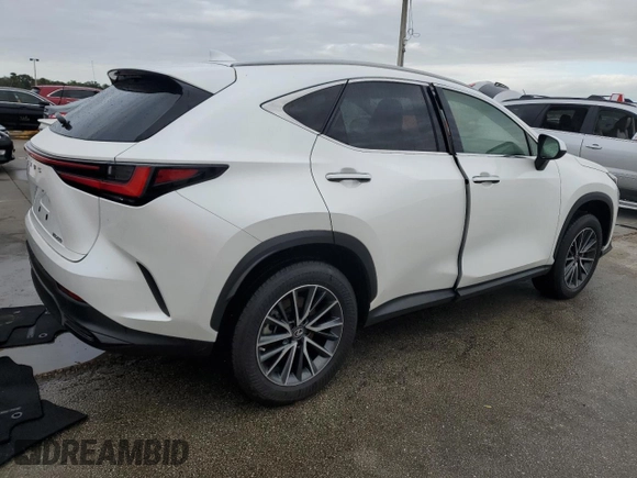 2023 Lexus NX 250 with VIN JTJADCAZ5P2006346, listed as a Copart auction lot 74574774 with Not provided miles and Salvage title. Bid and sale history available at DreamBid. Image 3.