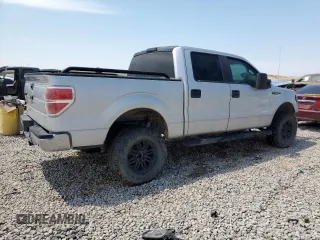 2009 Ford F-150 XL with VIN 1FTRW12879FA42609, listed as a Copart auction lot 62177534 with 157,629 mi miles and Salvage Title. Bid and sale history available at carsss.com. Image 3.