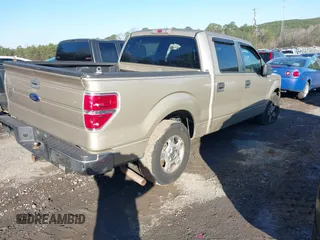 2010 Ford F-150 XL with VIN 1FTEW1C88AFA10043, listed as a IAAI auction lot 41764767 with 222,301 mi miles. Bid and sale history available at carsss.com. Image 4.