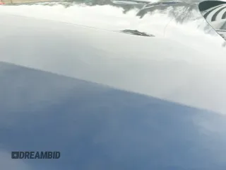 2009 Ford F-150 XL with VIN 1FTRW14869FA09842, listed as a IAAI auction lot 41959661 with 164,285 mi miles and . Bid and sale history available at DreamBid. Image 18.