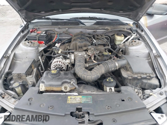 2006 Ford Mustang Standard with VIN 1ZVFT80N365183432, listed as a IAAI auction lot 42200159 with 192,140 mi miles and . Bid and sale history available at carsss.com. Image 10.