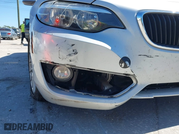 2015 BMW 2 Series 228i with VIN WBA1F5C58FV257570, listed as a IAAI auction lot 41783929 with 229,893 mi miles. Bid and sale history available at carsss.com. Image 17.