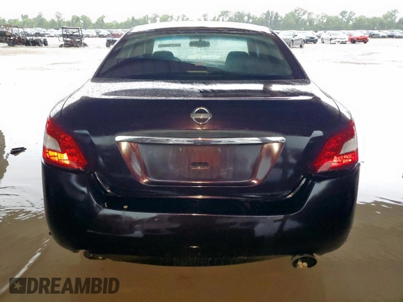 2010 Nissan Maxima SV with VIN 1N4AA5AP8AC841306, listed as a Copart auction lot 60698265 with 117,853 mi miles and Salvage title. Bid and sale history available at DreamBid. Image 6.