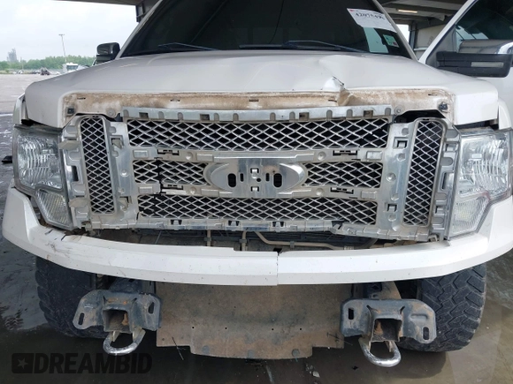 2012 Ford F-150 XL with VIN 1FTFW1EF7CFB06586, listed as a IAAI auction lot 42075498 with 167,391 mi miles and . Bid and sale history available at DreamBid. Image 10.