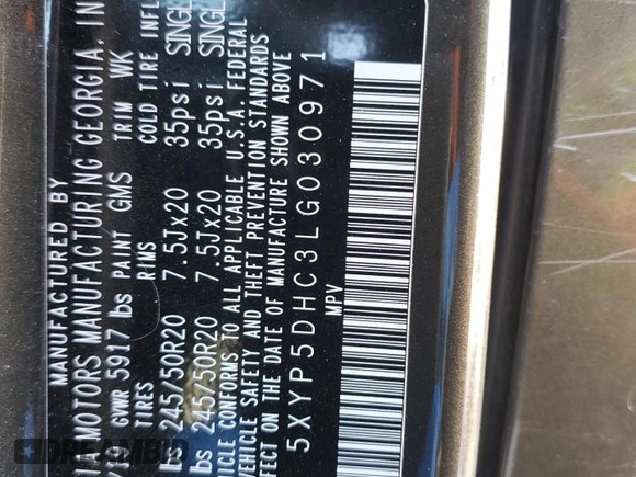 2020 Kia Telluride SX with VIN 5XYP5DHC3LG030971, listed as a Copart auction lot 89053025 with 147,481 mi miles and Salvage Title. Bid and sale history available at DreamBid. Image 14.
