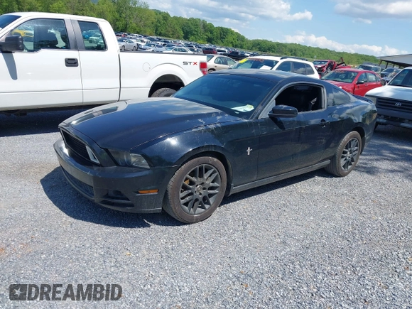 2013 Ford Mustang V6 with VIN 1ZVBP8AM9D5220487, listed as a IAAI auction lot 42189571 with 132,388 mi miles and . Bid and sale history available at DreamBid. Image 18.