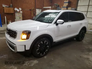 2024 Kia Telluride SX Prestige с VIN 5XYP5DGC4RG429074, выставлен на аукционе Copart как лот 88019235 с пробегом 14 903 миль миль и Списание • Salvage title. История ставок и продаж доступна на DreamBid. Изображение 1.