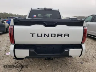 2022 Toyota Tundra 2WD Platinum with VIN 5TFNA5AB6NX003726, listed as a Copart auction lot 69110202 with 5,665 mi miles. Bid and sale history available at carsss.com. Image 6.