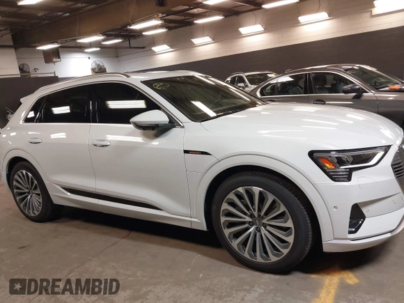 2019 Audi e-tron Prestige with VIN WA1VABGE3KB012371, listed as a IAAI auction lot 42314860 with 41,269 mi miles and . Bid and sale history available at DreamBid. Image 13.
