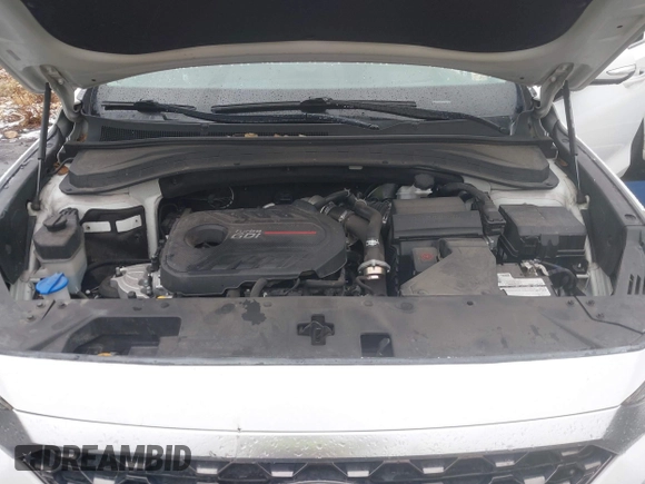 2019 Hyundai Santa Fe Ultimate with VIN 5NMS53AA2KH106648, listed as a IAAI auction lot 41179630 with 108,240 mi miles. Bid and sale history available at carsss.com. Image 10.