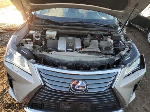 2019 Lexus RX with VIN JTJDGKCA0K2007127, listed as a Copart auction lot 79649794 with 58,693 mi miles and Salvage Title. Bid and sale history available at carsss.com. Image 12.
