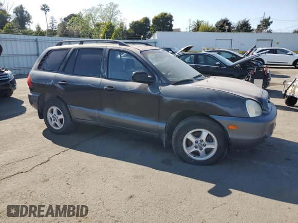 2003 Hyundai Santa Fe GLS with VIN KM8SC13D83U450511, listed as a Copart auction lot 53143485 with 166,622 mi miles and Clean Title. Bid and sale history available at carsss.com. Image 4.