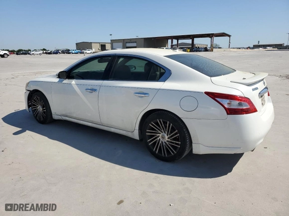 2009 Nissan Maxima 3.5 SV with VIN 1N4AA51E99C803271, listed as a Copart auction lot 53351425 with 192,256 mi miles and Clean Title. Bid and sale history available at carsss.com. Image 2.
