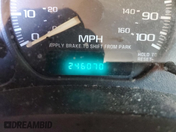 2002 Chevrolet Silverado 1500 LS with VIN 2GCEK19V221150025, listed as a Copart auction lot 41816045 with 246,070 mi miles and Salvage Title. Bid and sale history available at DreamBid. Image 9.