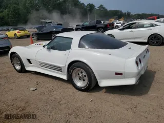 1981 Chevrolet Corvette with VIN 1G1AY8761BS419710, listed as a Copart auction lot 66493984 with 73,881 mi miles and Clean Title. Bid and sale history available at carsss.com. Image 2.